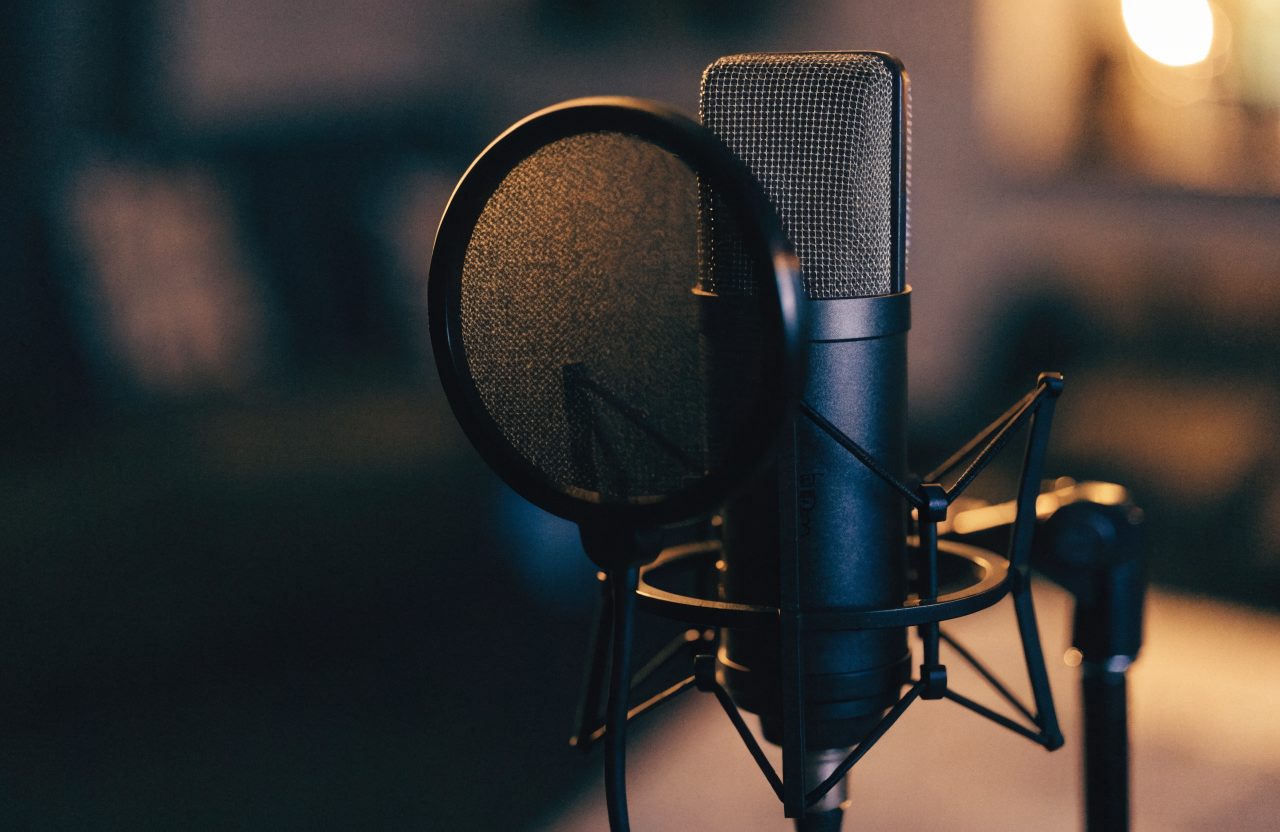 Professional studio microphone